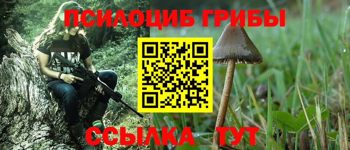 Галлюциногенные грибы Psilocybine cubensis Павловский Посад